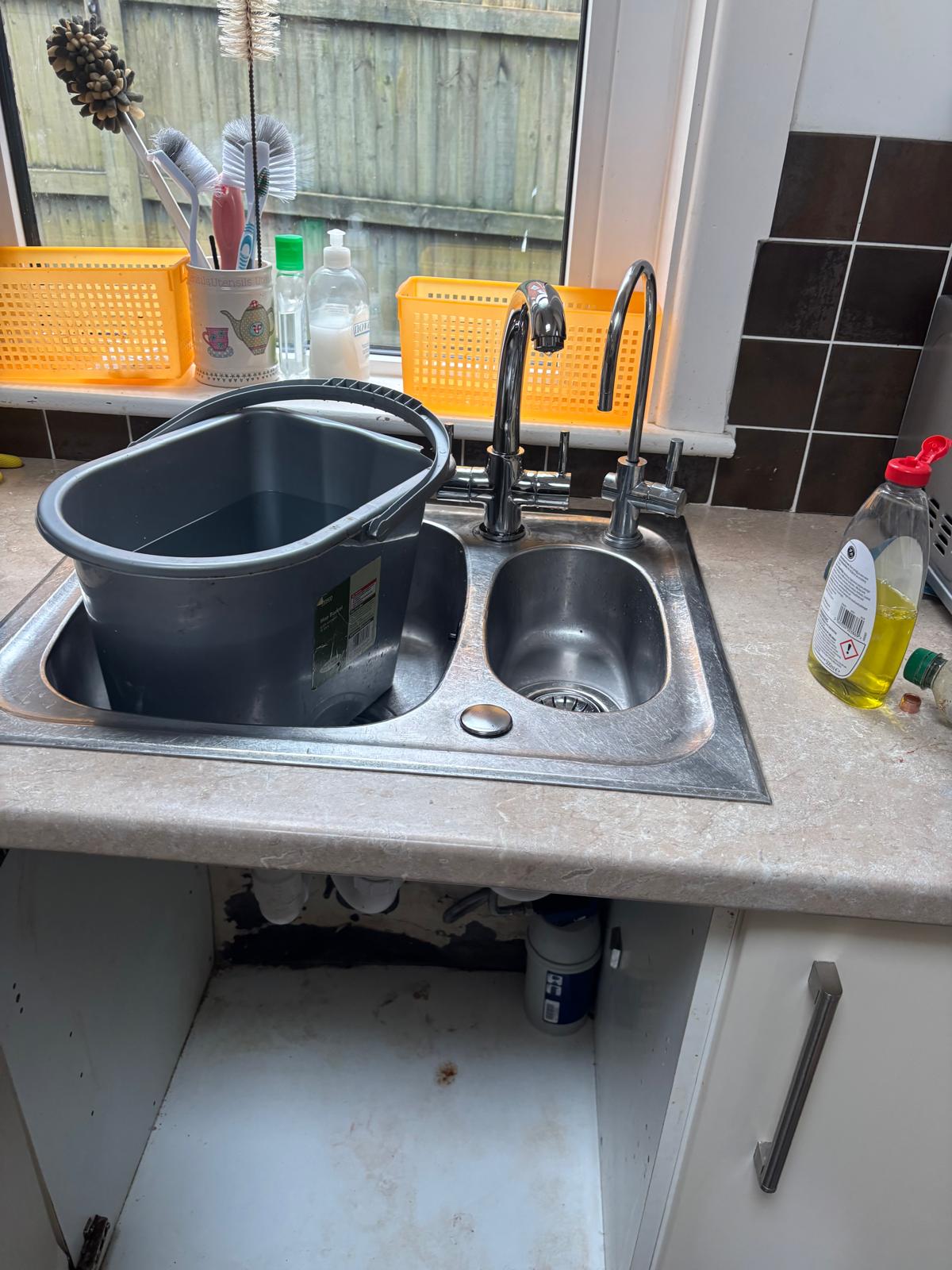 After: Under-Sink Renovation